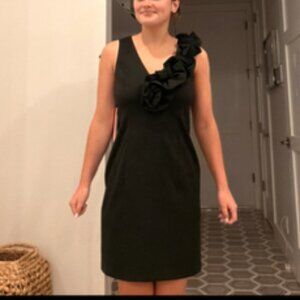 NWT Collection Dressbarn Black V Neck A line Dress, Petite 8